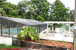 Highbanks Marina & Camp Resort Shuffleboard Courts
